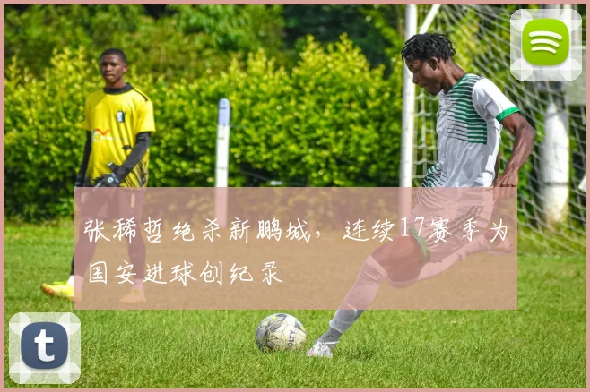 张稀哲绝杀新鹏城,连续17赛季为国安进球创纪录
