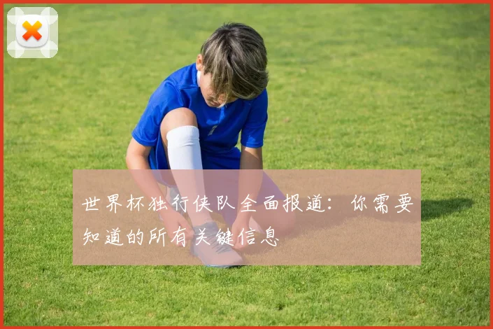 世界杯独行侠队全面报道：你需要知道的所有关键信息