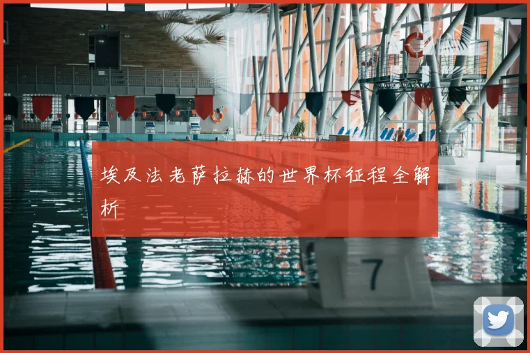 埃及法老萨拉赫的世界杯征程全解析